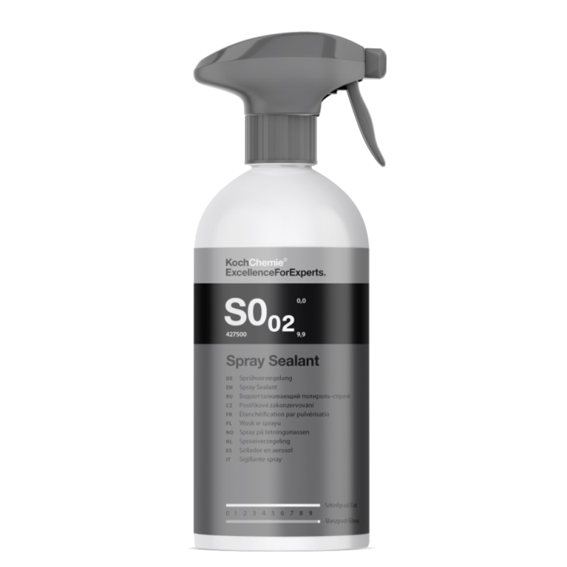 Спрей консервант Koch Spray Sealant S0.02